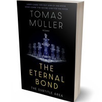 Tablet view of Cinder #28479 - Premade Business Book Cover