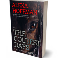 Tablet view of Bastille #28601 - Premade Western Book Cover