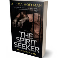 Tablet view of Bronco #28611 - Premade Mystery & Thriller & Suspense Book Cover