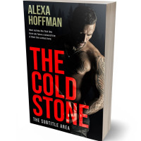 Tablet view of Cod Gray #28649 - Premade Erotica Book Cover