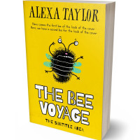 Tablet view of Gold #28905 - Premade Teen & Young Adult Book Cover