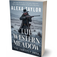 Tablet view of Pale Sky #28999 - Premade Action & Adventure Book Cover