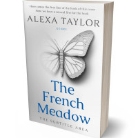 Tablet view of Iron #29001 - Premade Self-Improvement & Self-Help Book Cover