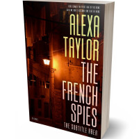 3D view of Di Serria #29030 - Premade Mystery & Thriller & Suspense Book Cover