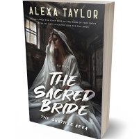 3D view of Premade Abstract Book Cover - Dune