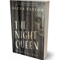 Tablet view of Merlin #29094 - Premade Business Book Cover