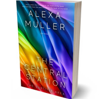 Tablet view of Raw Sienna #29160 - Premade Politics & Law & Society Book Cover