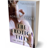 Tablet view of Chatelle #29293 - Premade Erotica Book Cover