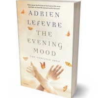 Tablet view of Quarter Spanish White #29331 - Premade Abstract Book Cover