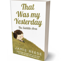 3D view of Premade Children's Book Cover - Limed Oak