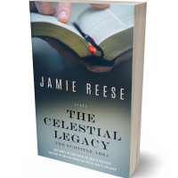 Tablet view of Limed Spruce #29742 - Premade Religion & Spirituality Book Cover