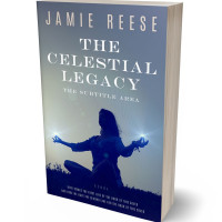 3D view of Regent Gray #29743 - Premade Health & Mind & Body Book Cover