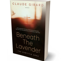 3D view of Crowshead #29864 - Premade Religion & Spirituality Book Cover