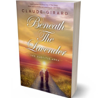 3D view of Muddy Waters #29900 - Premade Romance Book Cover | BookCoverZone