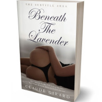 Tablet view of Cararra #29921 - Premade Erotica Book Cover