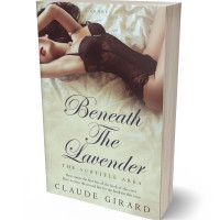 Tablet view of Foggy Gray #29922 - Premade Erotica Book Cover