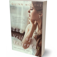 3D view of Foggy Gray #30064 - Premade Romance Book Cover