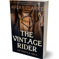 Tablet view of Sorrell Brown #30479 - Premade Travel Book Cover | BookCoverZone