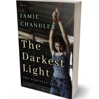 3D view of Log Cabin #30803 - Premade Mystery & Thriller & Suspense Book Cover