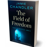 3D view of Black Pearl #30893 - Premade Health & Mind & Body Book Cover