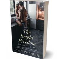 3D view of Premade Erotica Book Cover - Shark