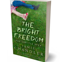 Tablet view of Dell #30985 - Premade Teen & Young Adult Book Cover