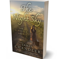 Tablet view of Judge Gray #30989 - Premade Travel Book Cover