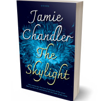 Tablet view of Black Pearl #31006 - Premade Abstract Book Cover