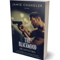 3D view of Premade Mystery & Thriller & Suspense Book Cover - Charade