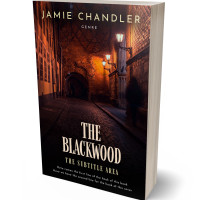 Tablet view of Antique Brass #31338 - Premade Mystery & Thriller & Suspense Book Cover