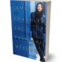 3D view of Chathams Blue #31479 - Premade Romance Book Cover