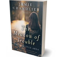 Tablet view of Outer Space #31574 - Premade Teen & Young Adult Book Cover