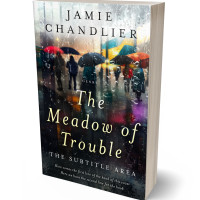 Tablet view of Sisal #31575 - Premade Literary Fiction Book Cover