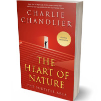 Tablet view of Thunderbird #31617 - Premade Business Book Cover