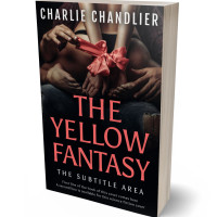 Tablet view of New York Pink #31655 - Premade Erotica Book Cover