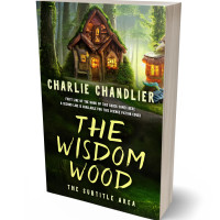 Tablet view of Deco #31673 - Premade Fantasy Book Cover