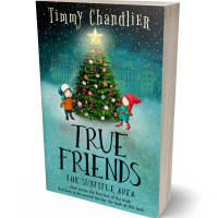 3D view of Premade Teen & Young Adult Book Cover - Breaker Bay