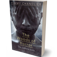 Tablet view of Ship Gray #31726 - Premade Mystery & Thriller & Suspense Book Cover