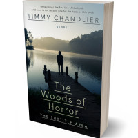 3D view of Shark #31738 - Premade Teen & Young Adult Book Cover | BookCoverZone