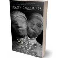 3D view of Mine Shaft #31739 - Premade Mystery & Thriller & Suspense Book Cover