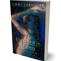 Tablet view of Mirage #31743 - Premade Erotica Book Cover