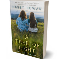 3D view of Unknown #31903 - Premade Literary Fiction Book Cover