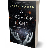 3D view of Woodsmoke #31905 - Premade Religion & Spirituality Book Cover