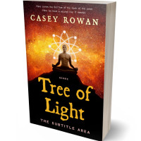 Tablet view of Graphite #31911 - Premade Health & Mind & Body Book Cover