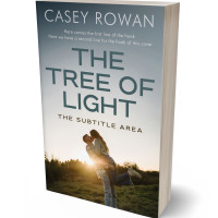 3D view of Quill Gray #31925 - Premade Romance Book Cover