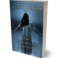 Tablet view of Fiord #32017 - Premade Mystery & Thriller & Suspense Book Cover