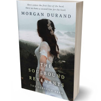 Tablet view of Silver Sand #32028 - Premade Romance Book Cover