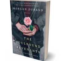 3D view of Premade Romance Book Cover - Ebony Clay