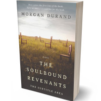 Tablet view of Quill Gray #32032 - Premade Surreal Book Cover