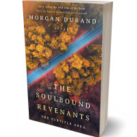 Tablet view of Woody Brown #32053 - Premade Mystery & Thriller & Suspense Book Cover